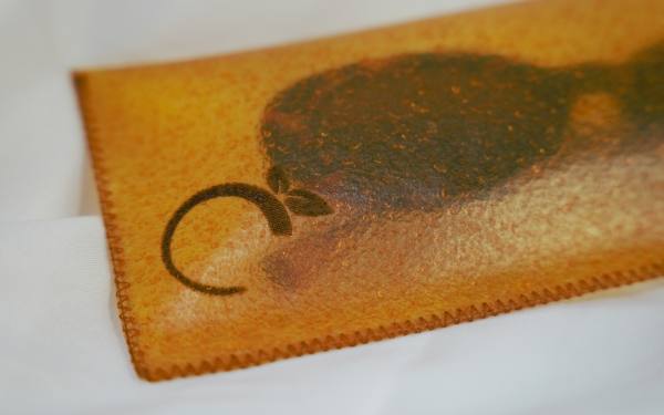 funda gafas pdto2
